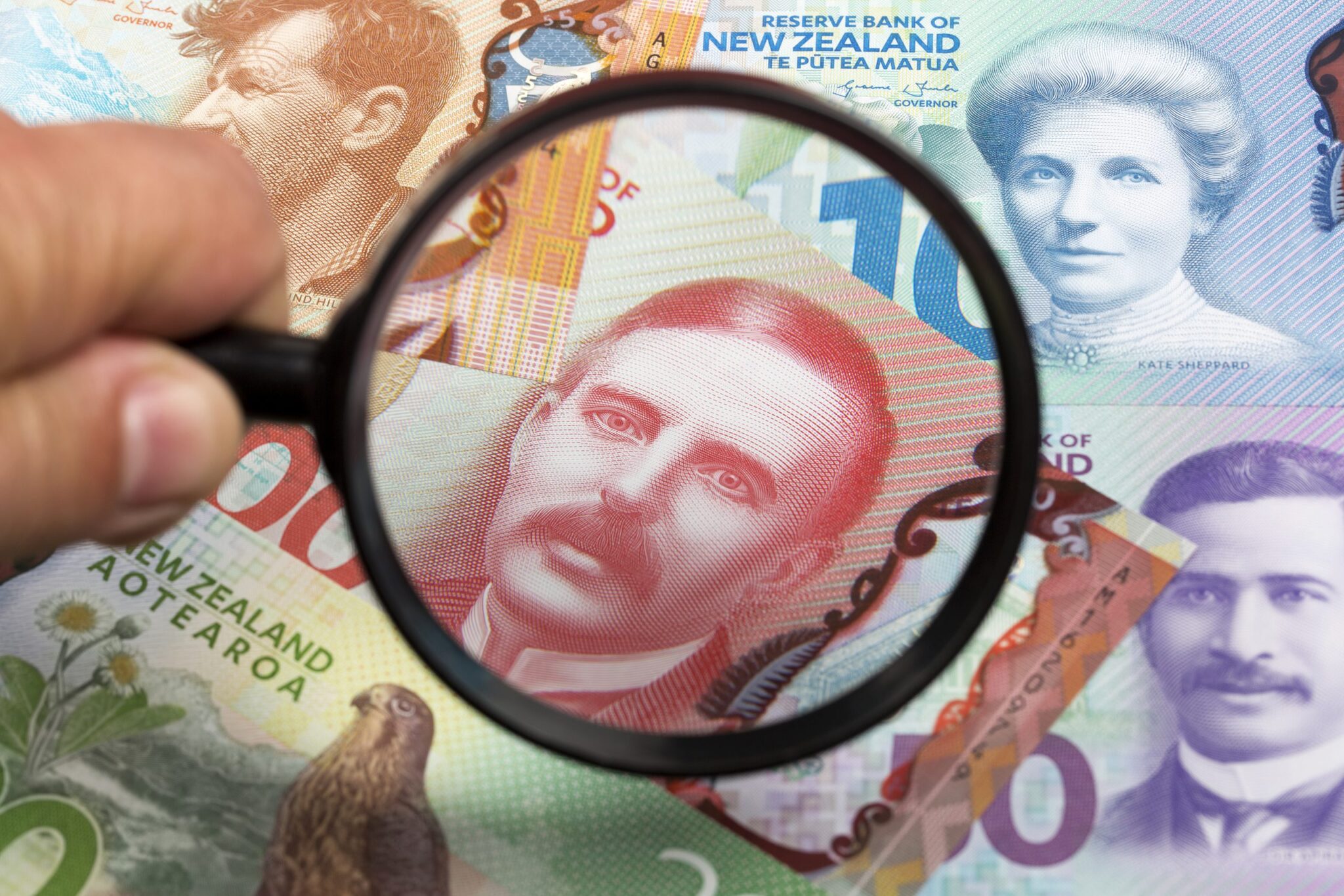 Mengenal Dolar Selandia Baru Dan Faktornya