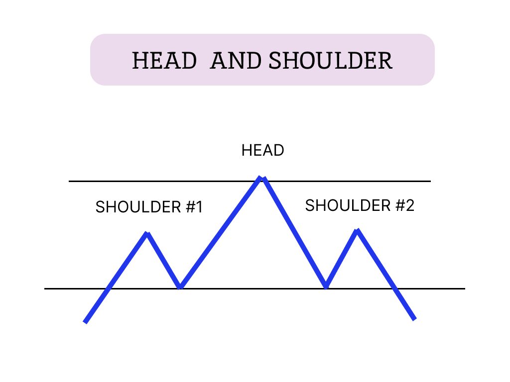 Pola Head and Shoulder