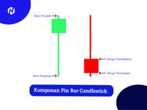 komponen pin bar candle