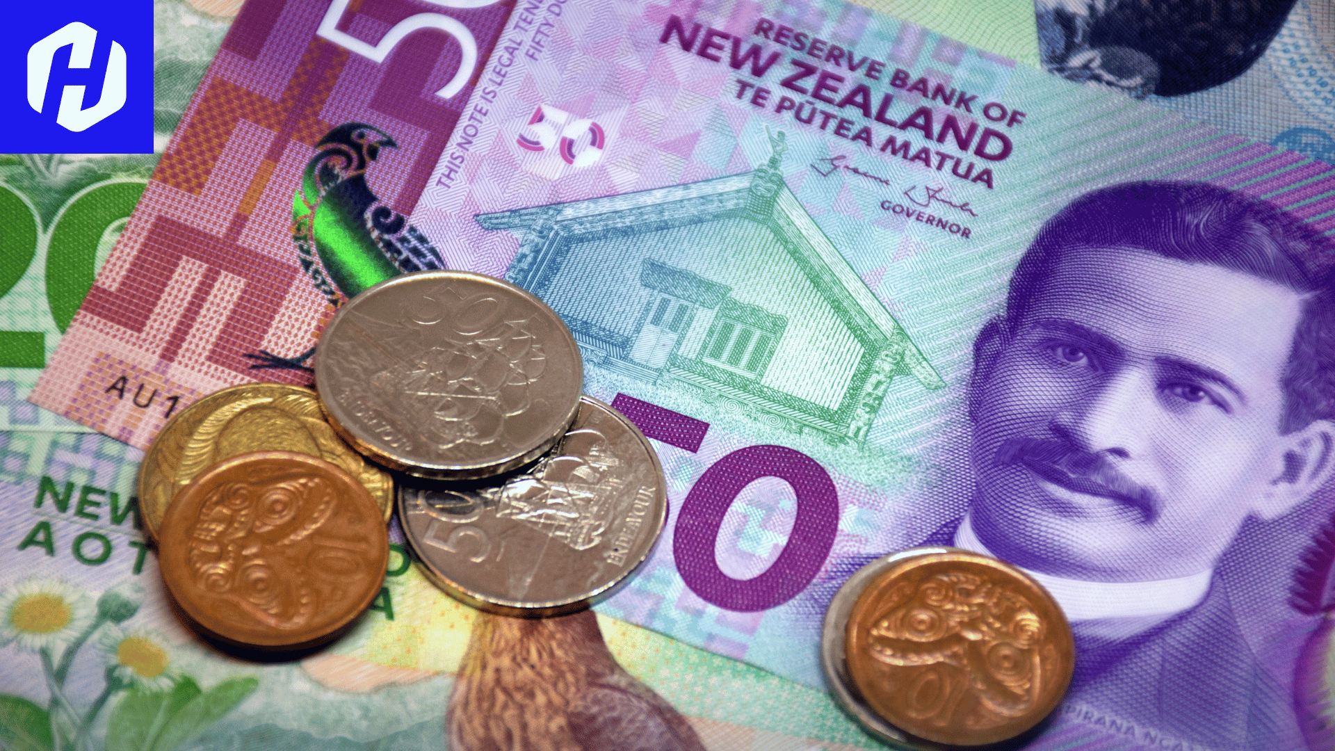 Seluk Beluk Pasangan Mata Uang Forex NZD/USD