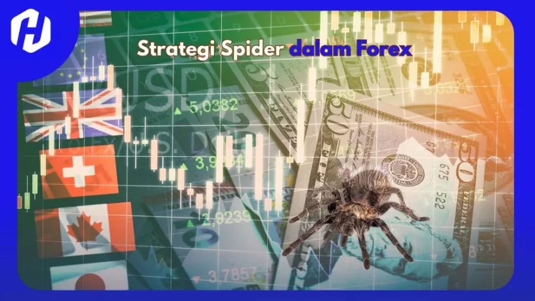 strategi yang efektif tentang strategi Spider forex