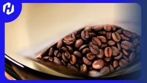 varietas kopi ethiopia