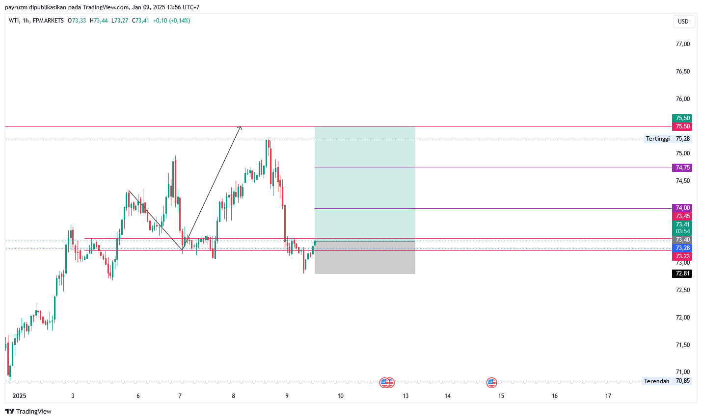 grafik analisa minyak dunia 09 Januari 2025